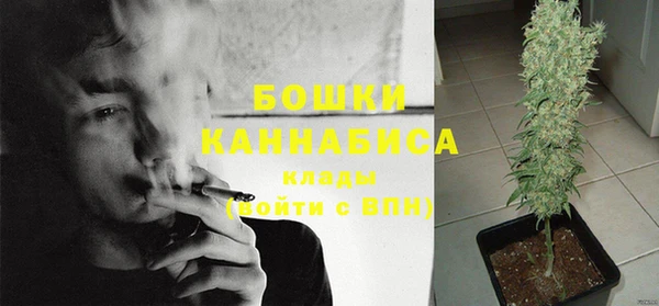 винт Касимов