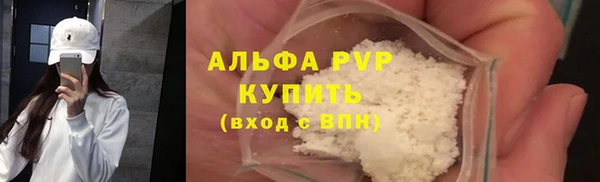 прущие грибы Киренск