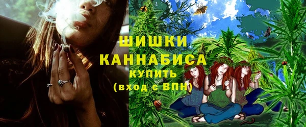 прущие грибы Киренск