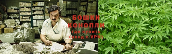 прущие грибы Киренск