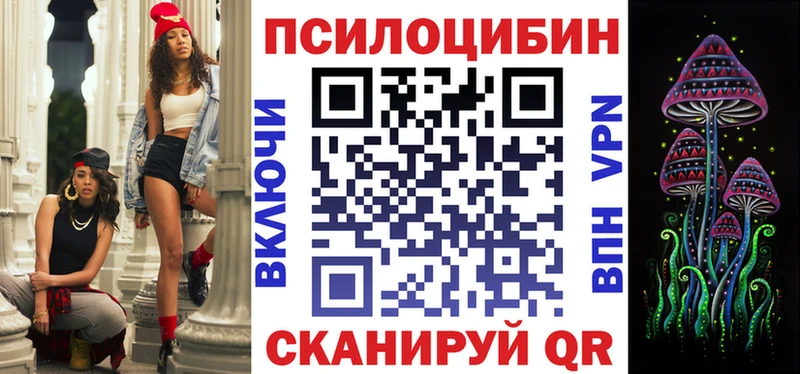 купить наркотики сайты  Красный Кут  OMG tor  Псилоцибиновые грибы Psilocybe 