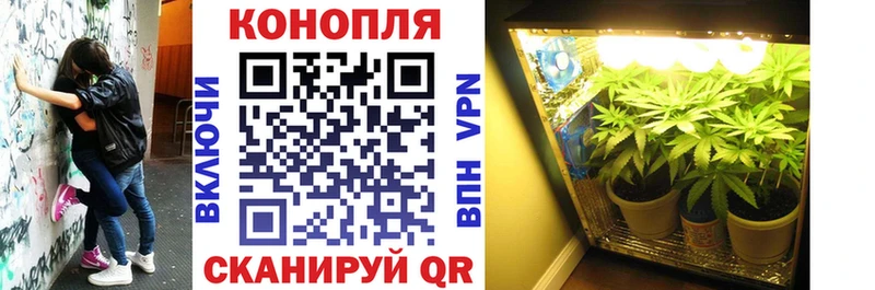mega маркетплейс  Красный Кут  МАРИХУАНА MAZAR  как найти закладки 